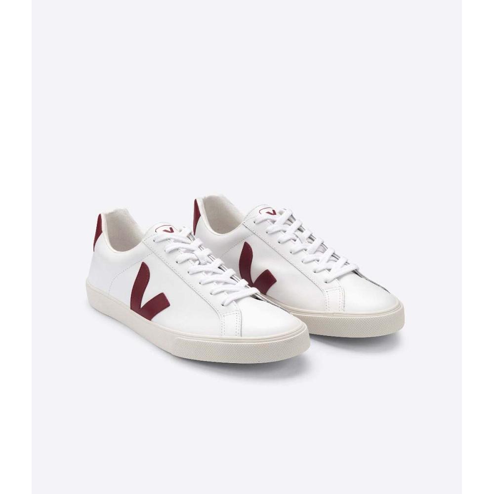 Women's Veja ESPLAR LEATHER Sneakers White/Red | SG 620JPQ